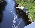 Highland Fling Bungee