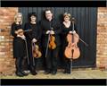 Bellini Strings