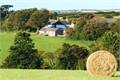 Trenderway Farm