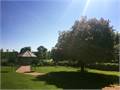 All Manor of Events