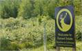 Forrest Estate Experiences