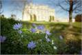 Kingston Maurward College