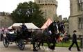 Warwick Shire Horse Carriages