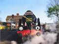 The Bluebell Railway