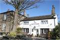 The Old White Beare